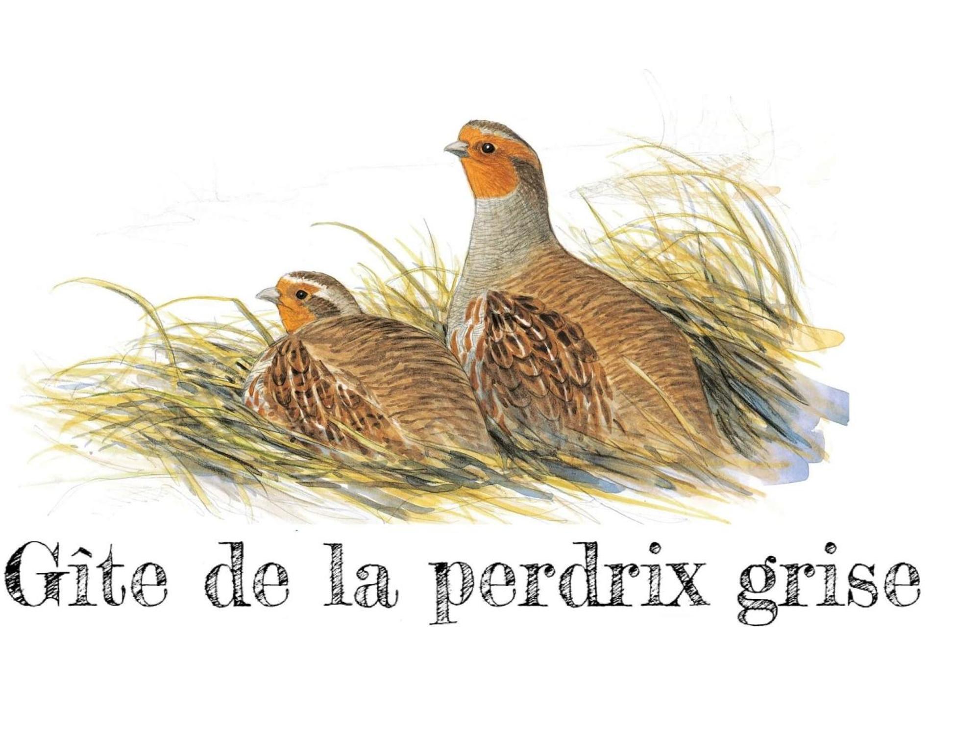 Charmante Maison De Campagne Avec Jardin Prive, Pres De Paris Et Orleans, Ideale Pour Familles - Fr-1-590-136 Audeville Luaran gambar